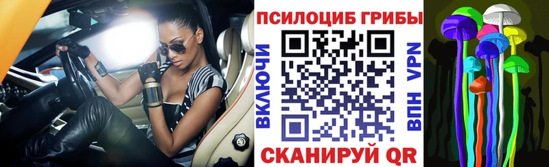 Псилоцибиновые грибы прущие грибы  Закаменск 